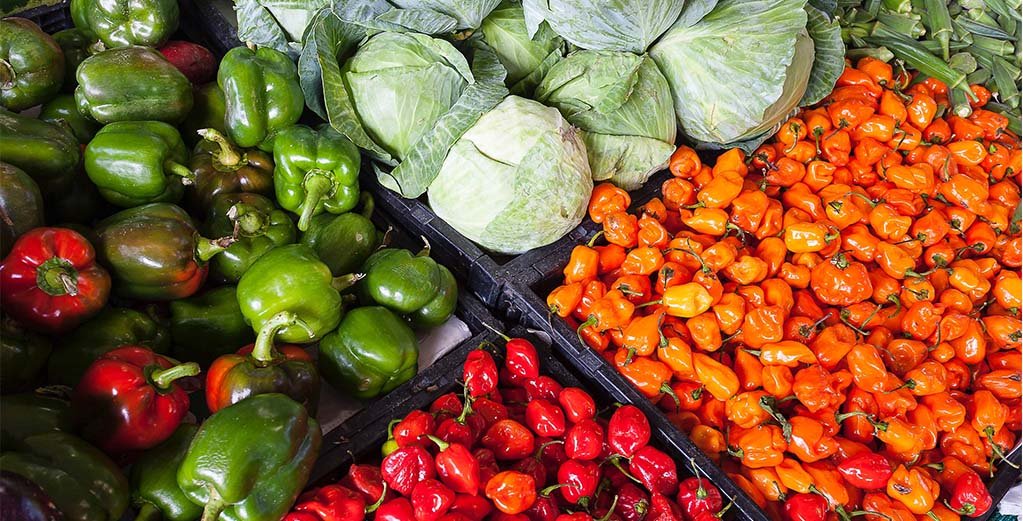 Muestra de Titulo - Mundo Electronic